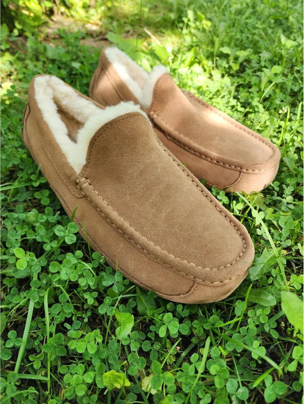 UGG details slipper